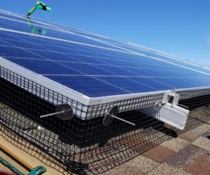Read more about the article Best ways to do Bird Proofing for Solar Panels In El Paso, TX