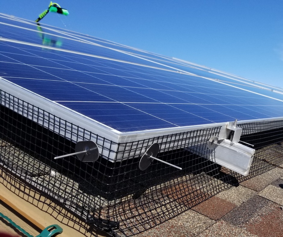 You are currently viewing Best ways to do Bird Proofing for Solar Panels In El Paso, TX
