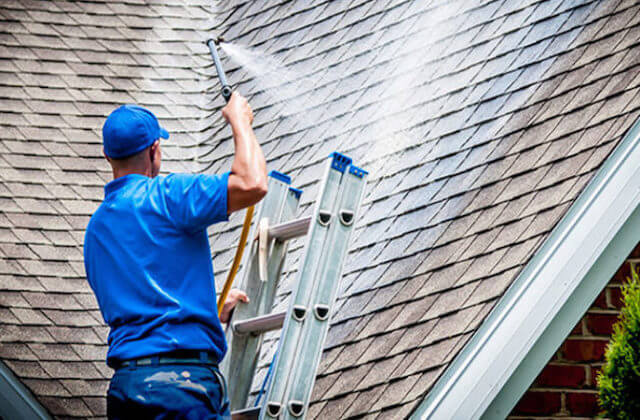 Read more about the article Importance of Having a Clean Roof
