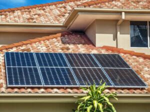 Read more about the article How Much Does It Cost to Pigeon-Proof Solar Panels? An In-Depth Look