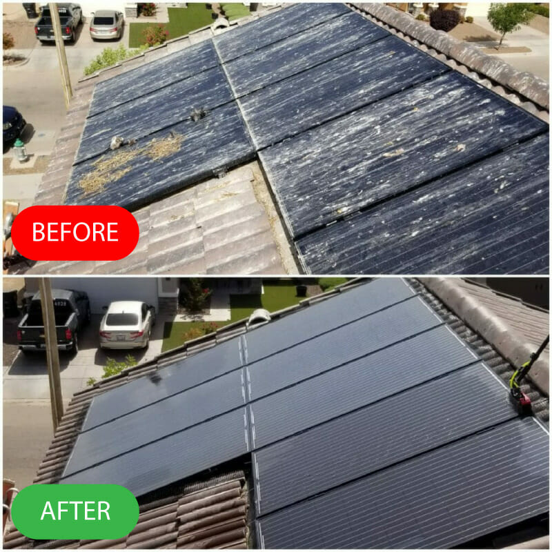 Bird Proofing Results