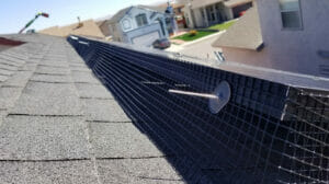 Read more about the article How to Find the Best Company in El Paso, Texas to Install Bird Netting for Solar Panels