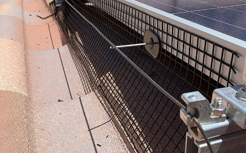 Read more about the article The Cost of Solar Panel Bird Proofing Near You
