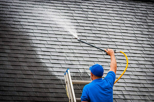 roof cleaning, power washing to remove pigeon droppings